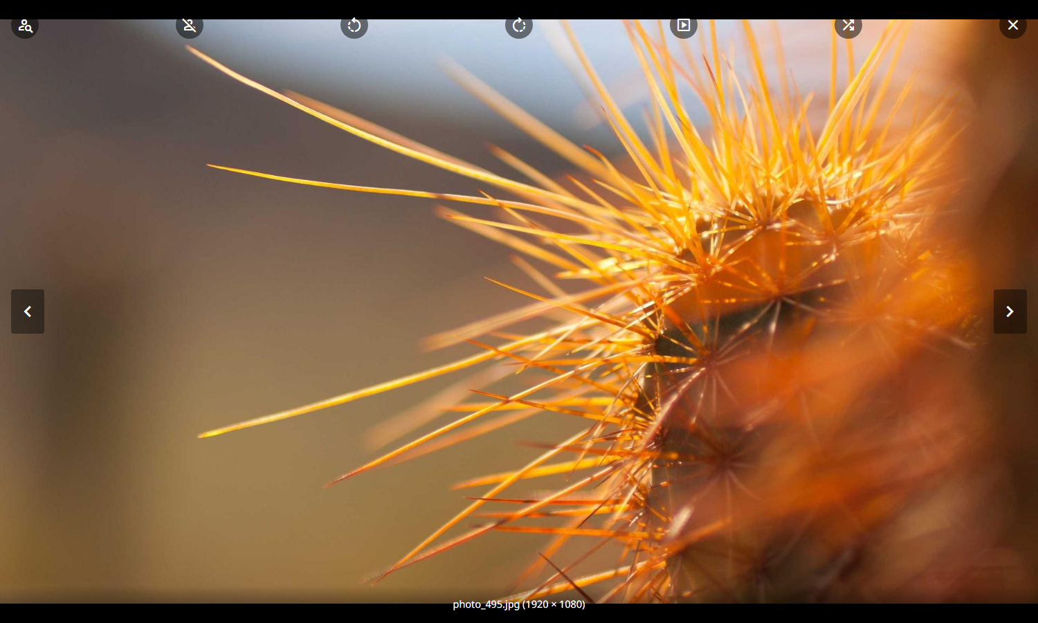 Fullscreen image viewer with zoom controls